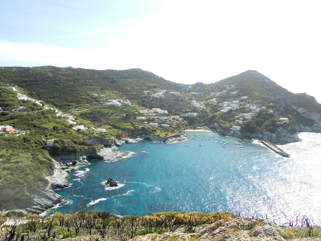 L'Incanto Di Cala Feola Ponza Exterior foto